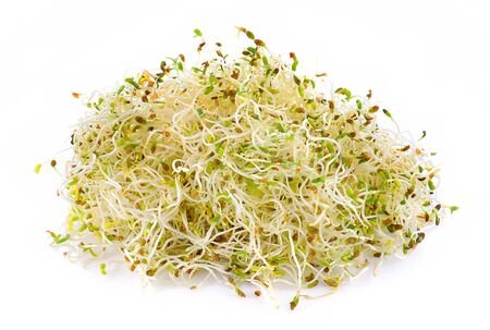 Alfalfa Seed - Homeopatía y Nutrición terapéutica